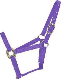 HORSE HALTER PONY LIGHT PURPLE 100-200#