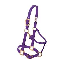 HORSE HALTER MEDIUM 800-1100 # PURPLE