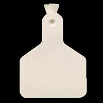 EAR TAG BACK WHITE ZTAG
