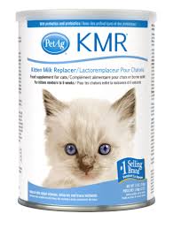 KITTEN MILK REPLACER 12 OZ POWDER