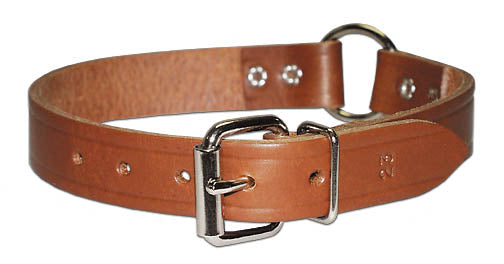 LEATHER COLLAR WITH CENTER RING