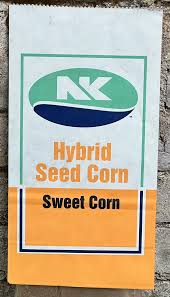 CORN SEED NK-115