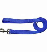 PET LEAD NYLON 4FT