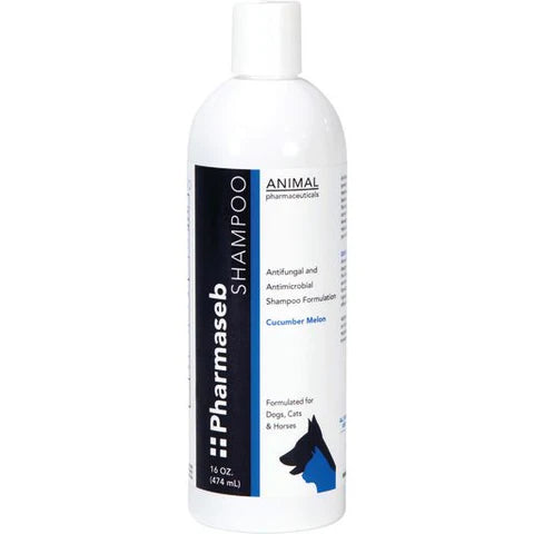 PHARMASEB SHAMPOO ANTIFUNGAL & ANTIBACTERIAL 16OZ