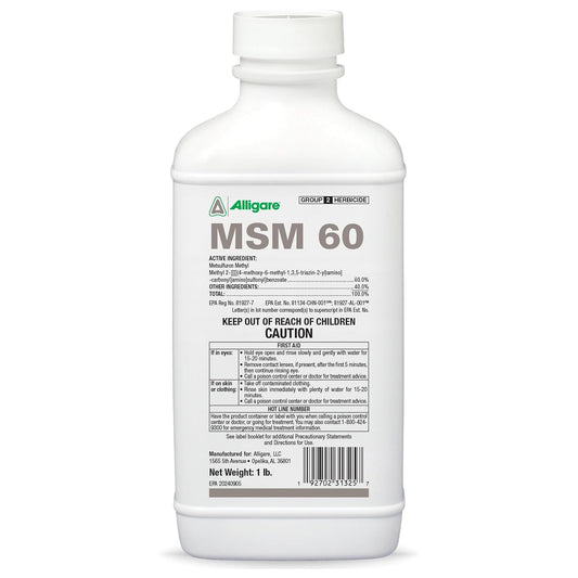 MSM 60 16 OUNCE