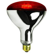 HEAT LAMP RED BULB