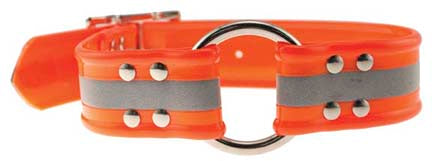 REFLECTIVE SUNGLO RING DOG COLLAR 1"