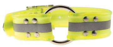 REFLECTIVE SUNGLO RING DOG COLLAR 1"