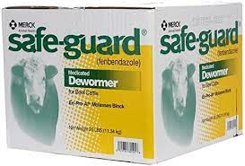 SAFE GUARD 25LB BLOCK