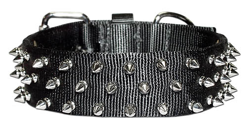 WIDE BRAVO NYLON DOG COLLAR WITH STUDS