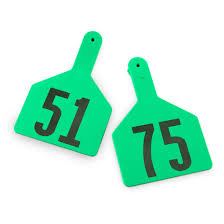 TAGS STOCKMAN GREEN 51-75