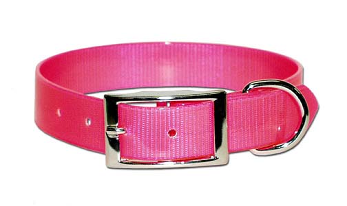 SUNGLO DOG COLLAR 1"