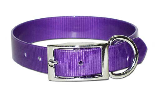 SUNGLO DOG COLLAR 3/4"