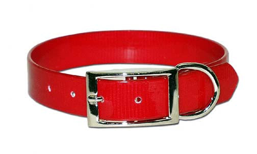 SUNGLO DOG COLLAR 3/4"