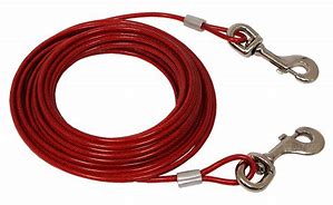 TIE-OUT CABLE 25FT