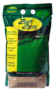 ZENITH ZOYSIA GRASS 6#